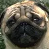 francisfenwick - @francisfenwick - TikTok