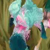 Frances Florence Tiz - @francesflorenceti - TikTok