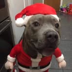 Frances Fordham - Facebook