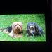 Frances Frazier - Facebook