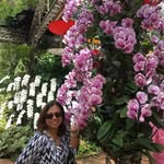Frances Frederick - @frances_frederick - Instagram