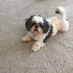 Frances Frey - @grandma.sue.4 - Instagram