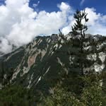 Frances Fu - @lanchin1122 - Instagram