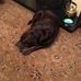 Frances Fulton - Facebook