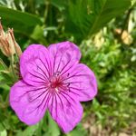 Francis Gabel - @francis.gabel.77 - Instagram