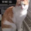 Francis Gaillard - @francis.gaillard0 - TikTok
