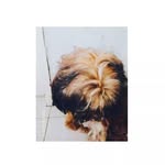 💋 F R A N C E S 💋 - @frances._.galang - Instagram