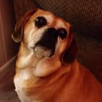 Mary Frances Galloway Bazzell - @gallowaybazzell - Instagram