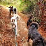 Frances Gandy - @ridgeline_trail_hikes - Instagram