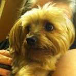 Frances Gaskill - Facebook