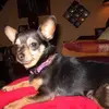 FrancesGee0809 - @geekygirlyia - TikTok