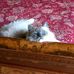 Frances Gentry - Facebook