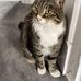 Frances George - Facebook