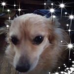 Frances Gerhardt - @frances.gerhardt.125 - Instagram
