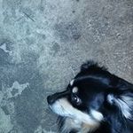 Frances Gerhardt - @frances.gerhardt - Instagram