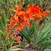 Frances Gilbert - Facebook