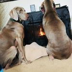 frances Gilbert - @drammasboyz - Instagram