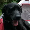 Frances Gilbreath - @frances.gilbreath17 - TikTok