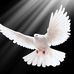 Frances Gladden - Facebook