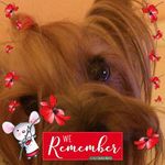 Frances Glenn - @f4n8123 - Instagram