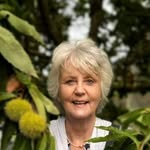 Frances Golding - @franncesgolding - Instagram