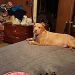 Frances Gooden - @goodenfrances - Instagram