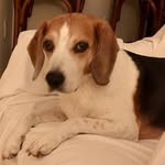 Mary Frances Goode Siersema - @marysiersema - Instagram