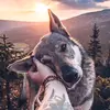 francescogeimm - @francescogrimm1999 - TikTok