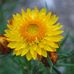 Frances Greeshaw - Facebook