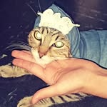Hirano - @guyanafrancesa7 - Instagram