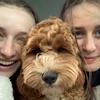 francescahackney - @francescahackney - TikTok