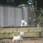 Frances Halpin - @francesmhalpin - Instagram