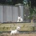 Frances Halpin - Facebook