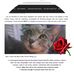 Frances-Marie Hankin - Facebook