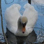Frances Halstead - @frances.halstead.73 - Instagram