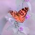 Frances Halvorson - Facebook
