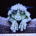 Frances Hanson - Facebook