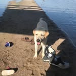 Frances Hardin - @nebirdydog - Instagram