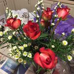 Frances Leslie Harding - @busymom247ny - Instagram