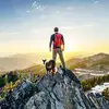 Francis Hardman - @francis.hardman8 - TikTok