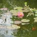 Francis Haro - Facebook