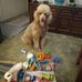 Frances Hartwick - Facebook