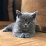 Frances Harvey - @francesharvey703 - Instagram