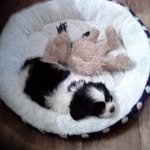 Frances Harvey - @francesharvey336 - Instagram