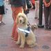 Frances K. Hashimoto Plaza - Facebook