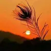 Abdul_Khader - @frances.havens - TikTok