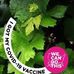 Frances Headley - Facebook