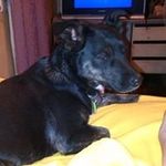 Frances Hedges - @hegdes7131 - Instagram