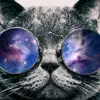 Francis Hegarty - @francis.hegarty1 - TikTok