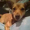 Francis Hegarty - @francis.hegarty0 - TikTok